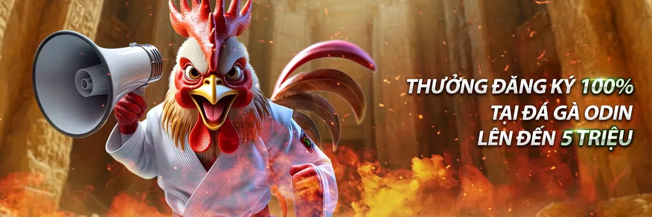 Hình ảnh giới thiệu bet 855 - Nền tảng cá cược trực tuyến hàng đầu