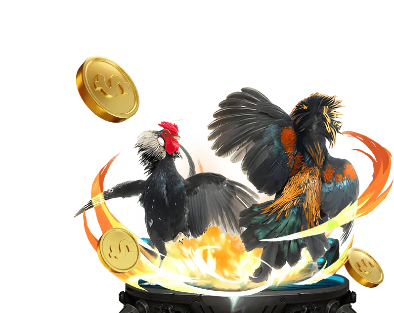 Trách nhiệm người chơi bet 855